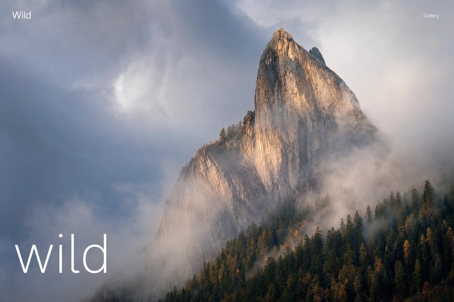 A photography portfolio built with vMira Build